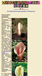 Mobile Screenshot of amorphophallus.info