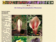 Tablet Screenshot of amorphophallus.info
